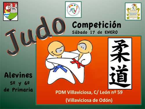 competicion-judo-1