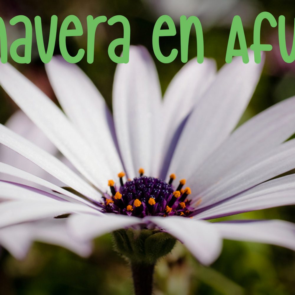 Primavera en Colegio Afuera