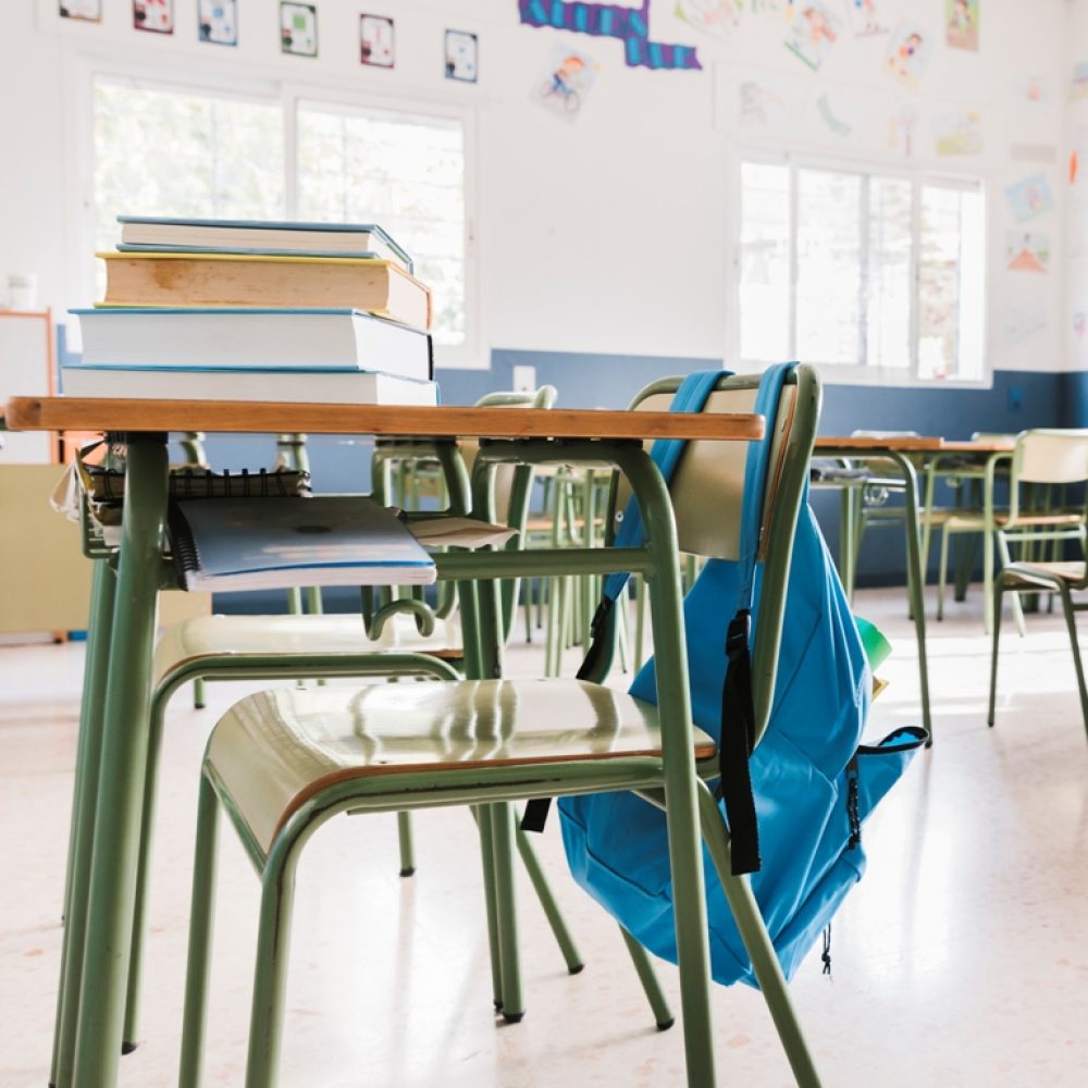 Qué se les enseña a los niños de primero de primaria