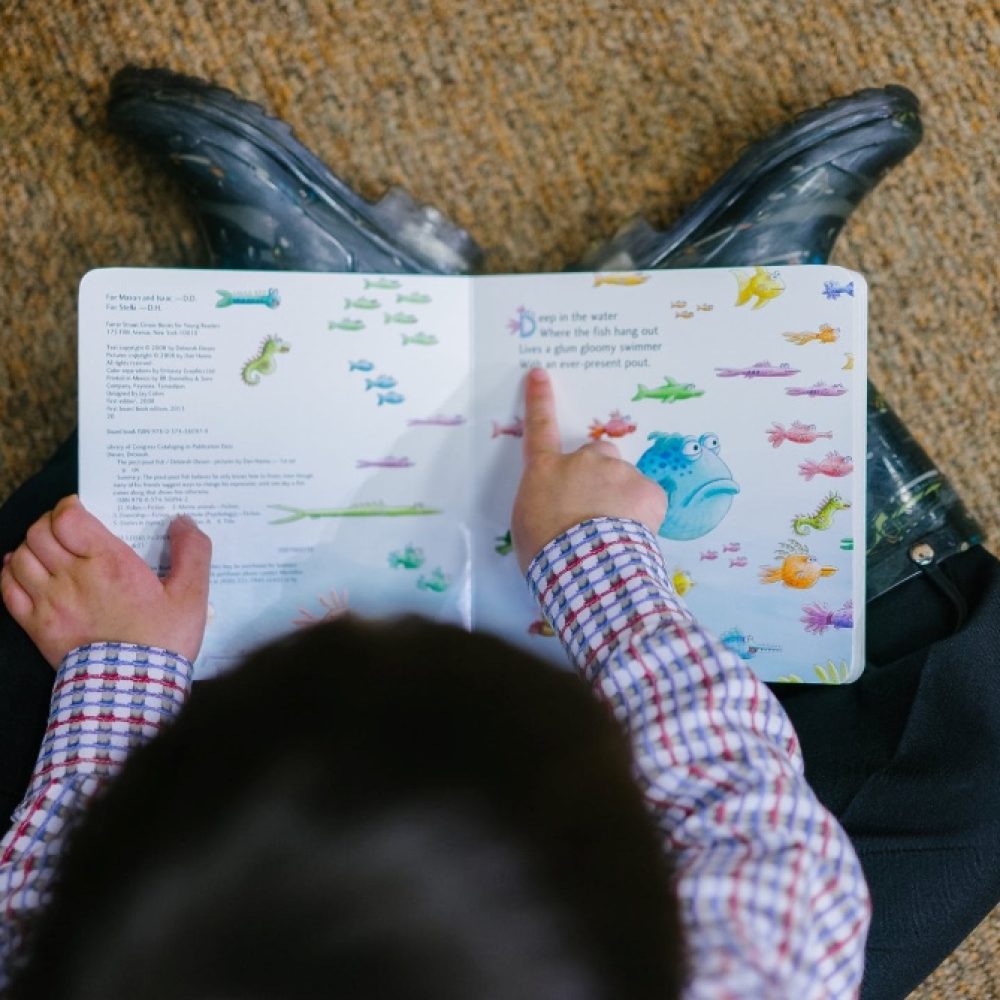 ¿Qué estudiarán los que hoy son bebés?