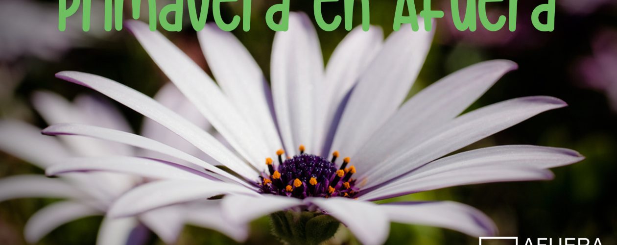 Primavera en Colegio Afuera